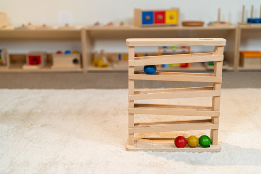 Montessori Infant-Toddler Classroom Assistant