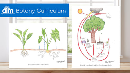 Elementary Montessori Botany Charts + Lessons