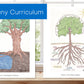 Elementary Montessori Botany Charts + Lessons