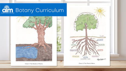 Elementary Montessori Botany Charts + Lessons