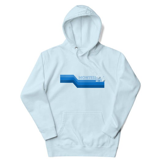 Montessori 1906 Unisex Hoodie