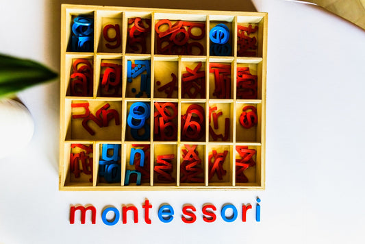 How Montessori Works
