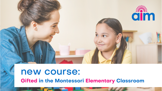 Gifted in the  Montessori Elementary Classroom